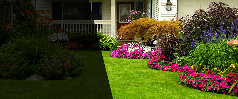 Freeland Landscapers